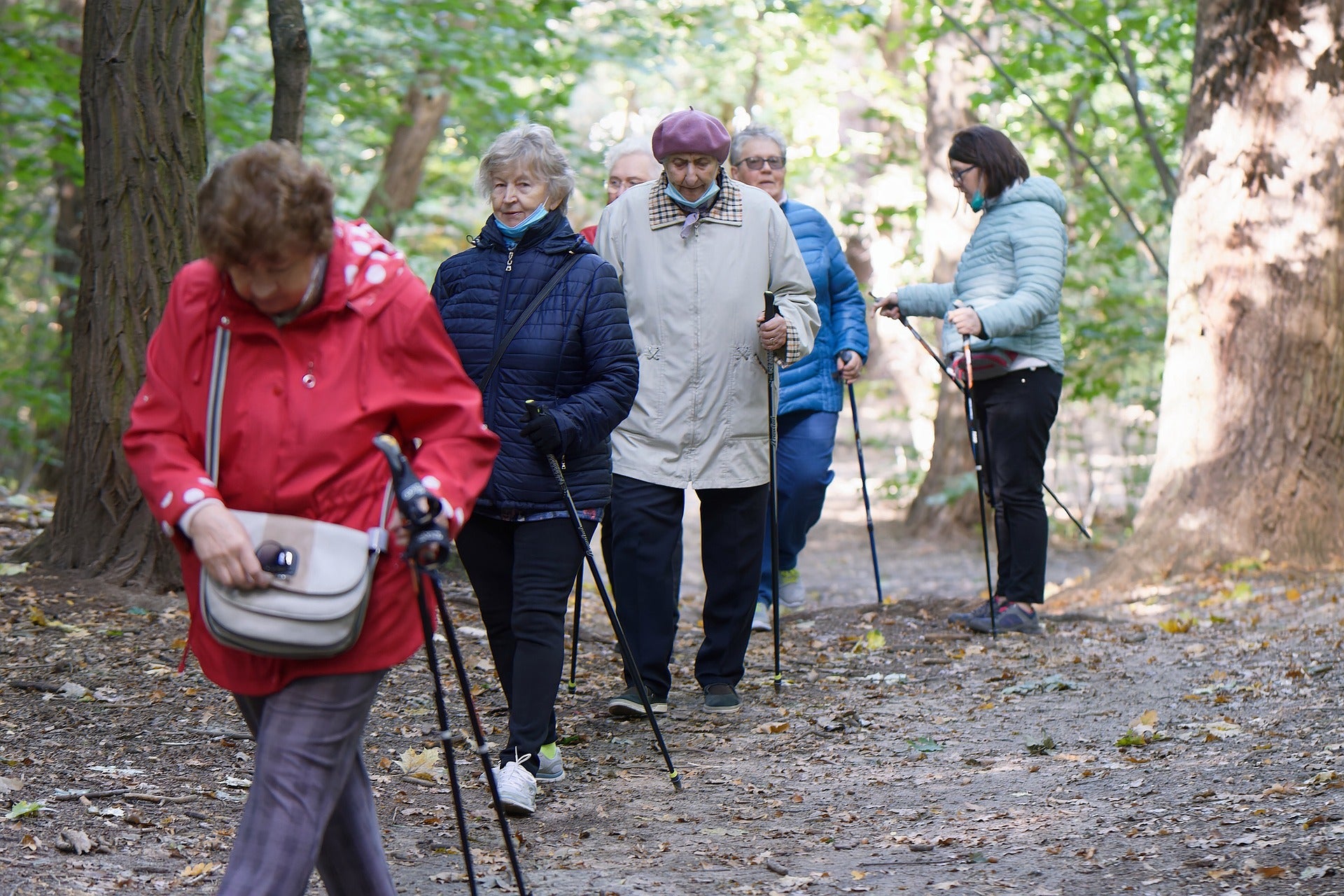 Best Hiking Tours for Seniors: Discover Charlotte and Surrounding Areas at Your Own Pace