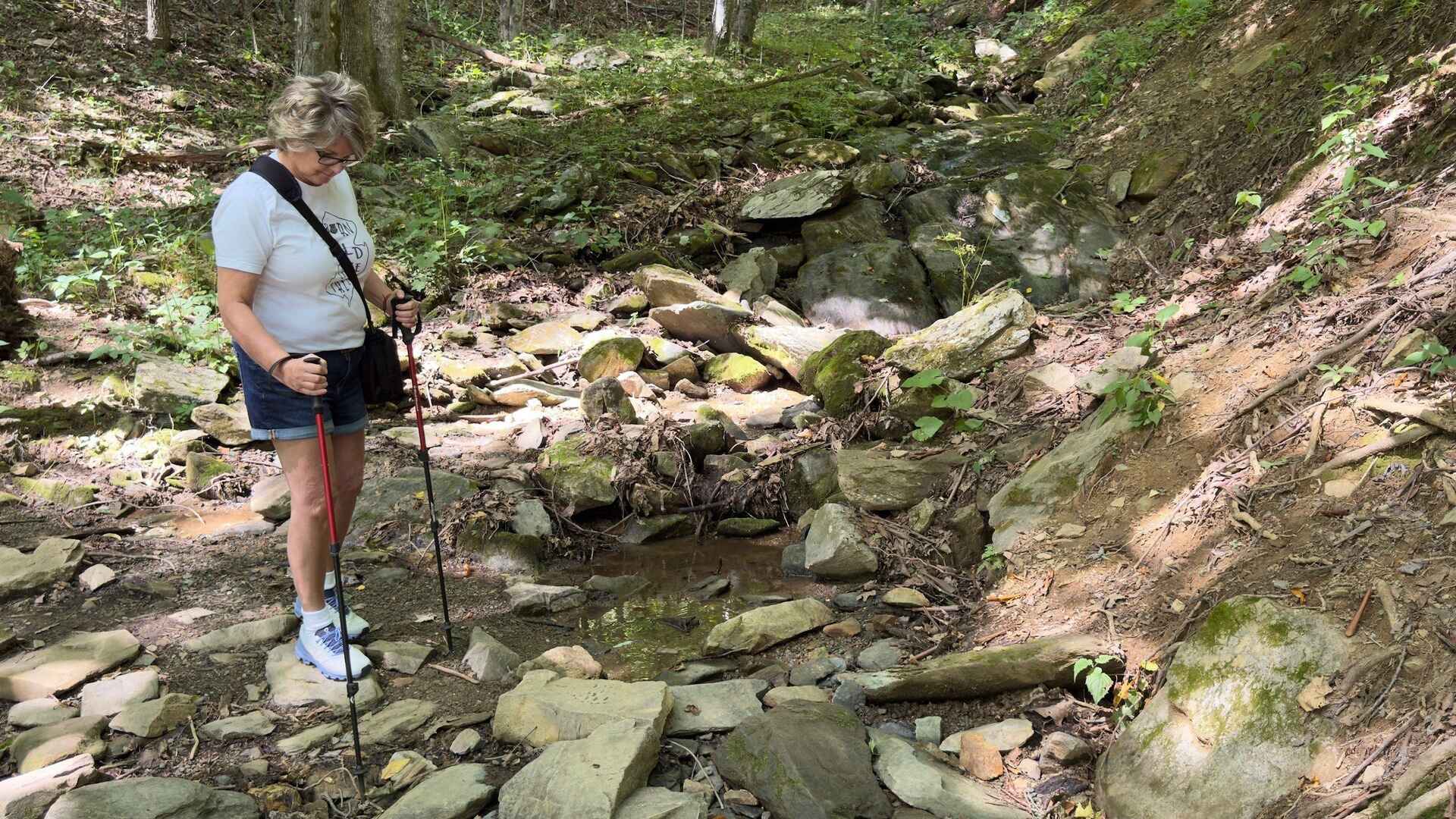 Female Hiking with Trekking Poles