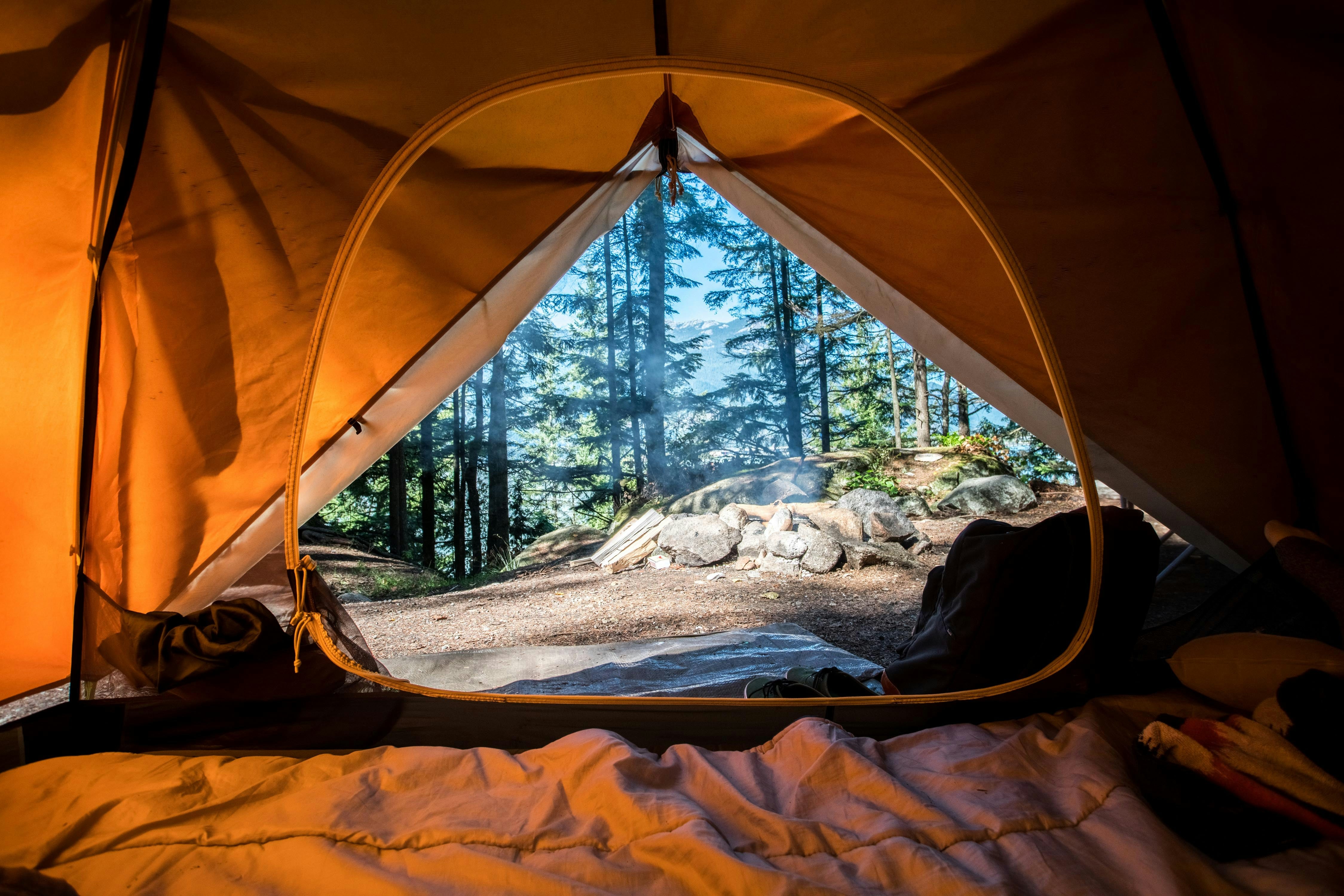 View from inside a tent of a serene forest scene at sunrise or sunset.