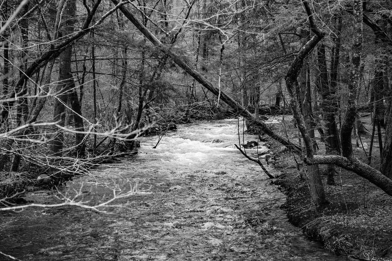 Smoky Mountain Stream